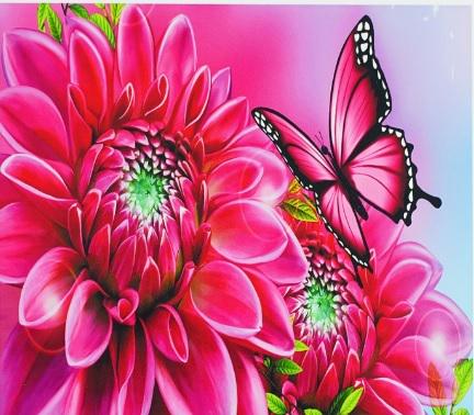 Алмазна мозаїка Астра на полотні з підрамником 30х40 см (GB79612)