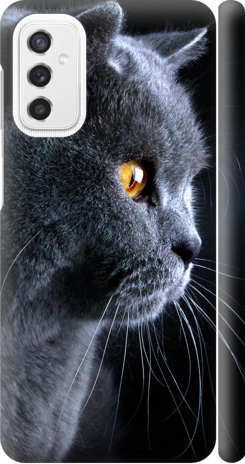Чехол на Samsung Galaxy M52 M526B Красивый кот (3038m-2490-42517)
