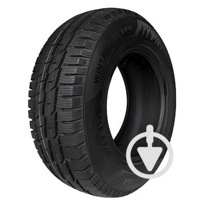 Автошини Doublestar WINTERKING DW06 205/65 R16C 107/105R