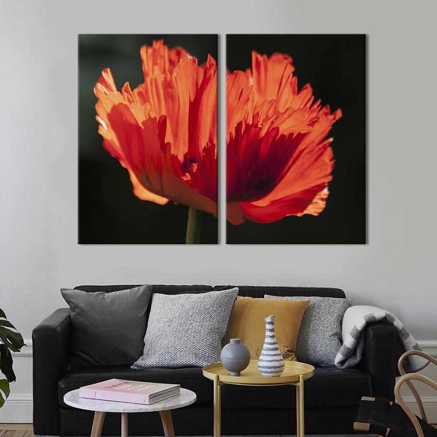 Картина на холсте Волнистый цветок мака 71x51 см (969-2)