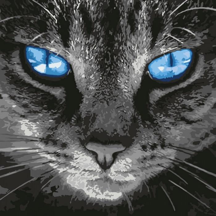 Картина за номерами Ідейка Пронизливий погляд 40x40 см (KHO4177)