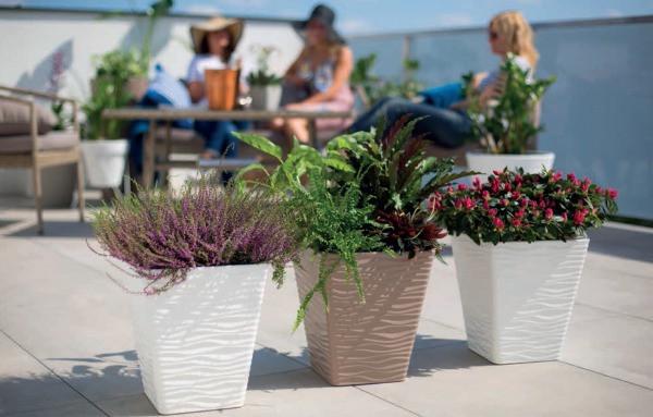 Горшок для цветов Form-Plastic Сахара Слим Дюны квадрат 49,9 л 35х64 см Белый (7752762900) - фото 4 Горшок для цветов Form-Plastic Сахара Слим Дюны квадрат 49,9 л 35х64 см Белый (7752762900) - фото 4