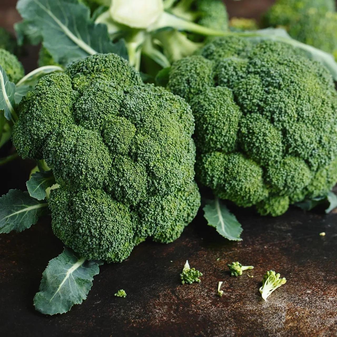 Насіння Капуста Брокколі Clause KUSKO F1 2 500 шт. (1980235213)