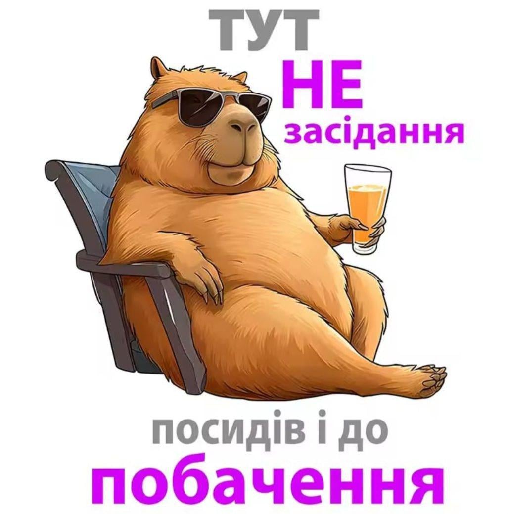 Наклейка на унитаз 16x20 см Разноцветный (188200/1)