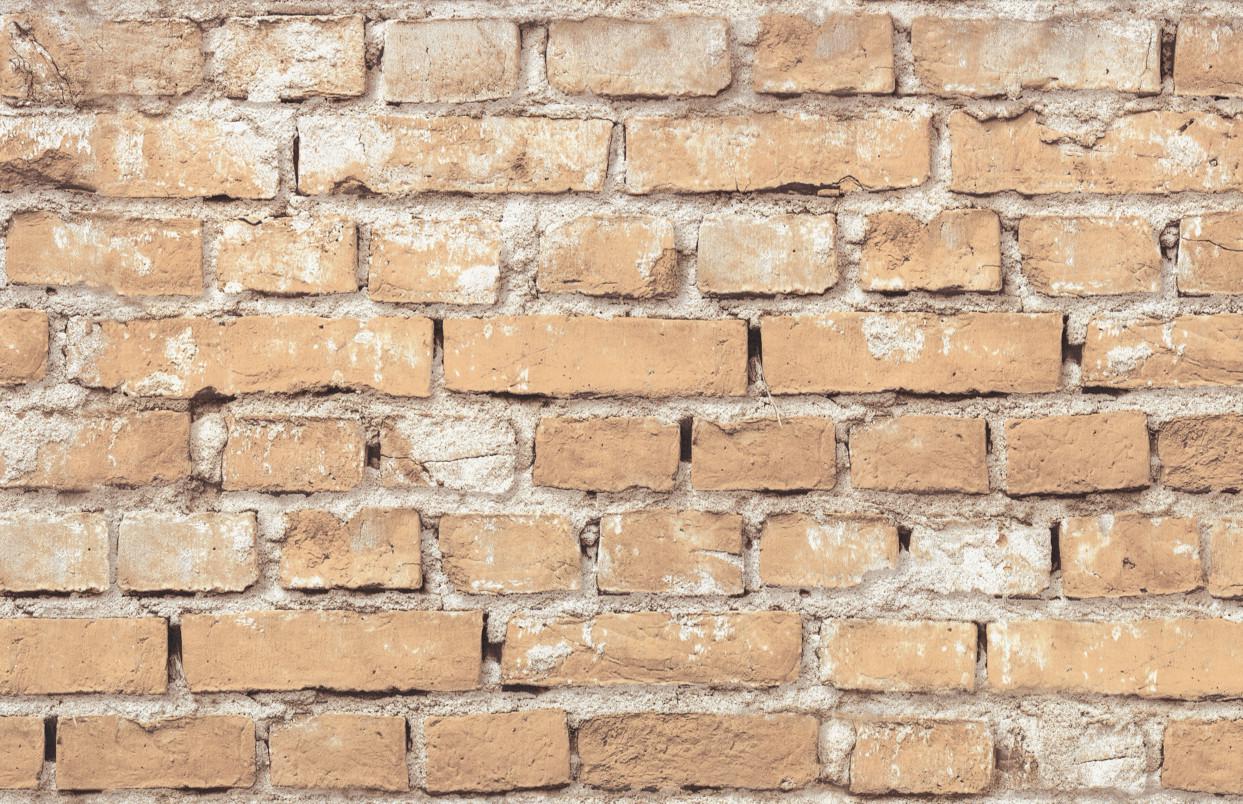 Шпалери універсальні LS миючі 10,05х1,06 м Бежевий (5-1538) - фото 2 Шпалери універсальні LS миючі 10,05х1,06 м Бежевий (5-1538) - фото 2