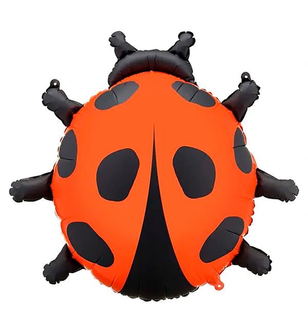 Воздушный шар PartyDeco Божья коровка 66х64,5 см (10355) Воздушный шар PartyDeco Божья коровка 66х64,5 см (10355)