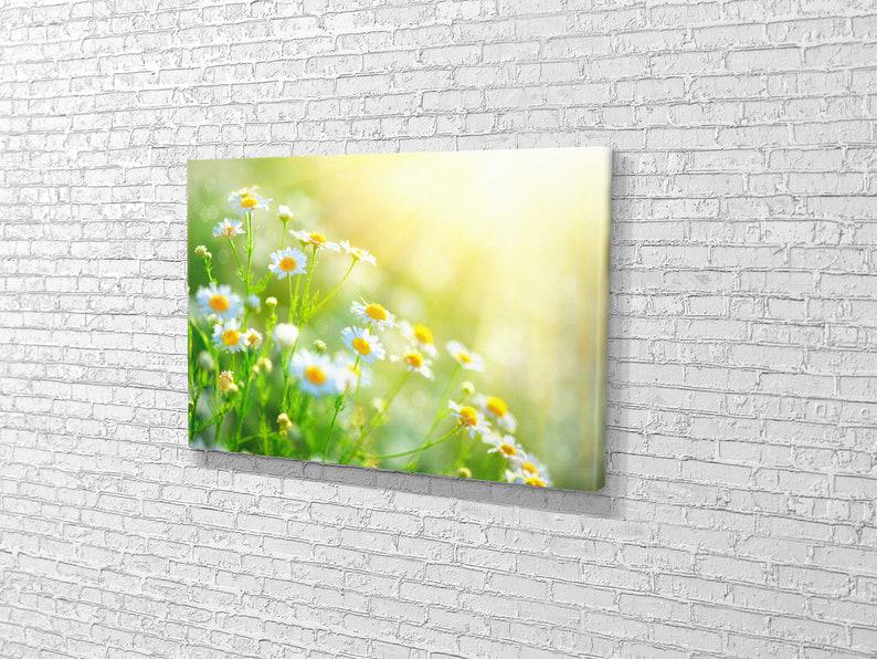 Картина для интерьера Полевые ромашки 51x34 см (509)