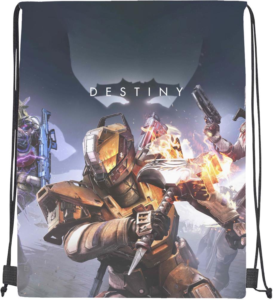 Мішок спортивний Destiny 11 (20298559)
