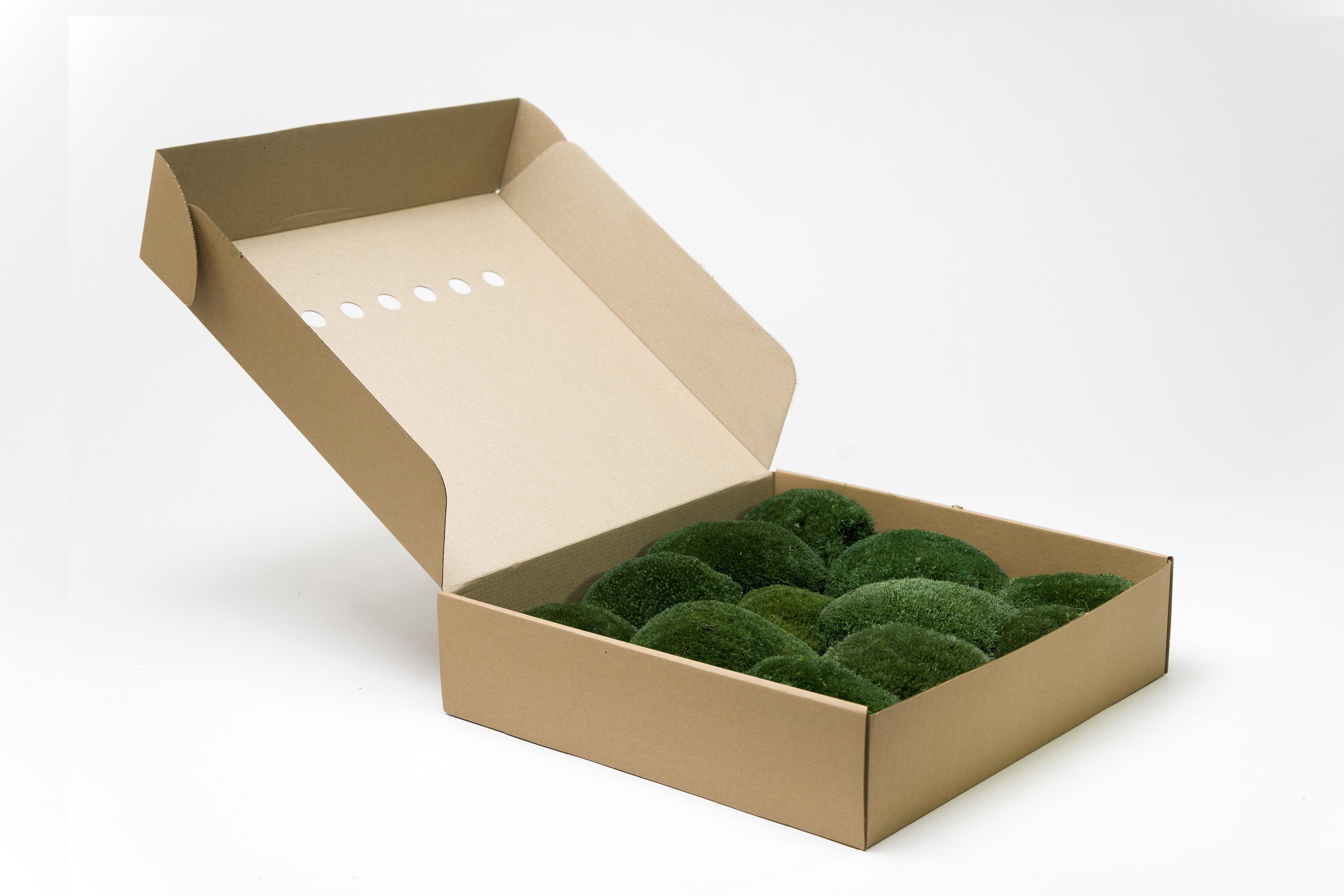 Стабилизированный мох Organic Design Кочка 0,15 м2 Forest Green (203-10)