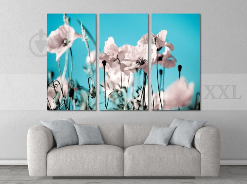Модульна картина Poster-land Квіти Небо Art-17_XXL