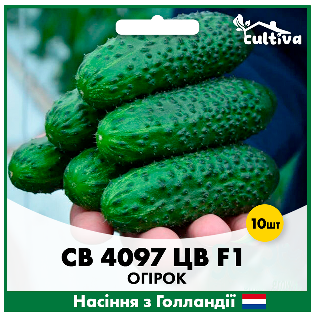 Семена огурца Seminis СВ 4097 ЦВ F1 10 шт. (O12)