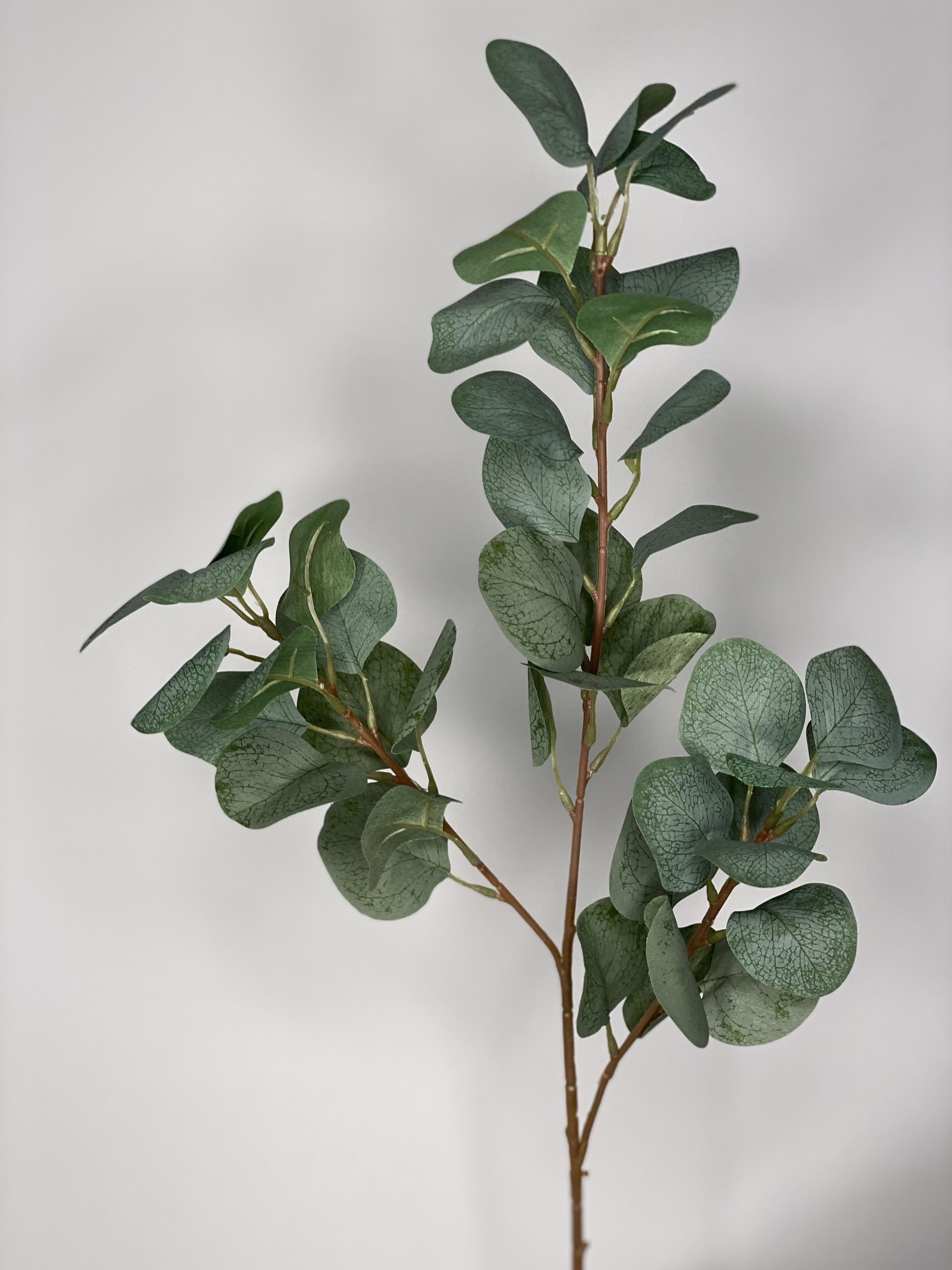 Эвкалипт искусственный популюс из сатина - фото 2 Эвкалипт искусственный популюс из сатина - фото 2