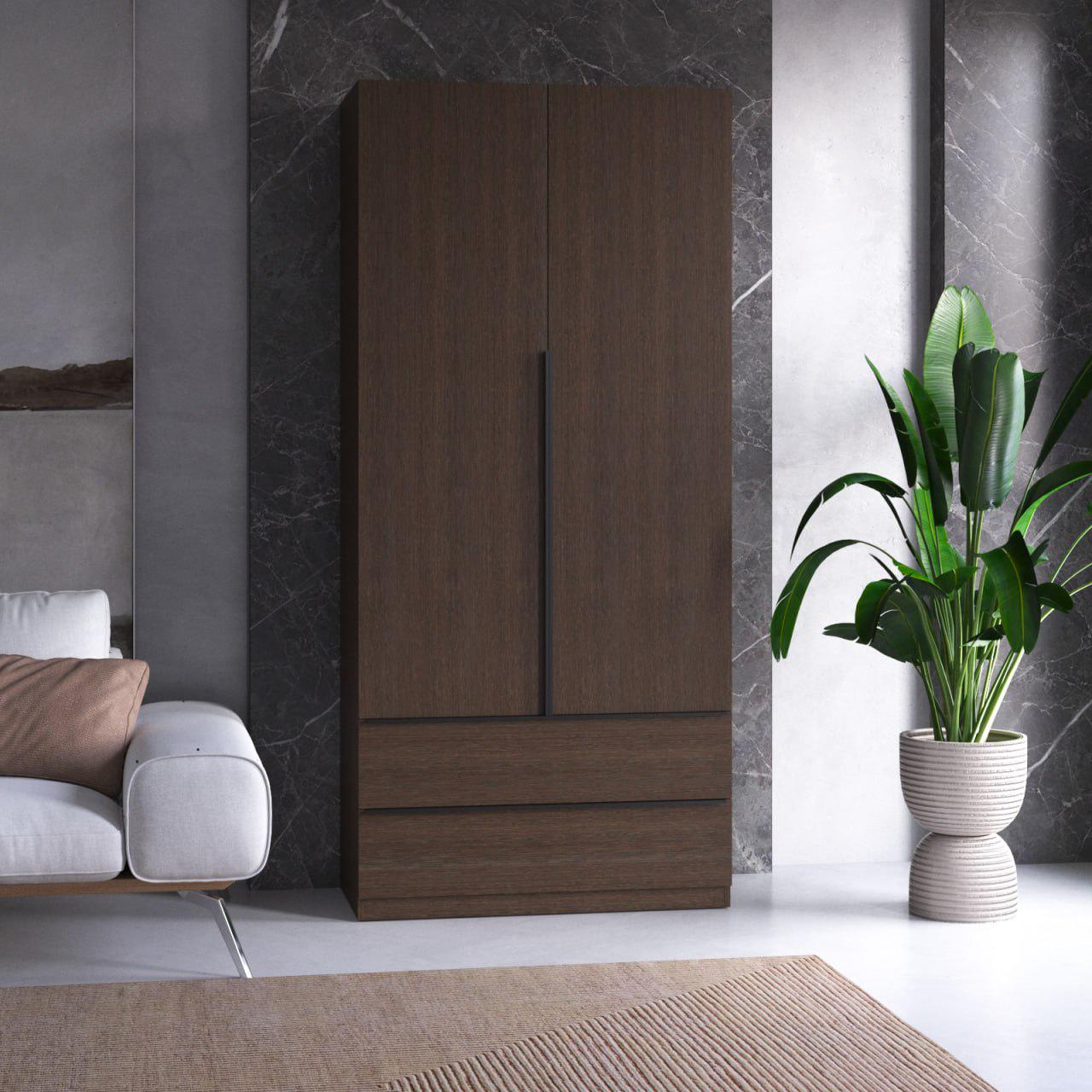 Шкаф распашный двухдверный с двумя выдвижными ящиками и штангой 1000x2200x500 мм Венге темный (hm-30-vg)