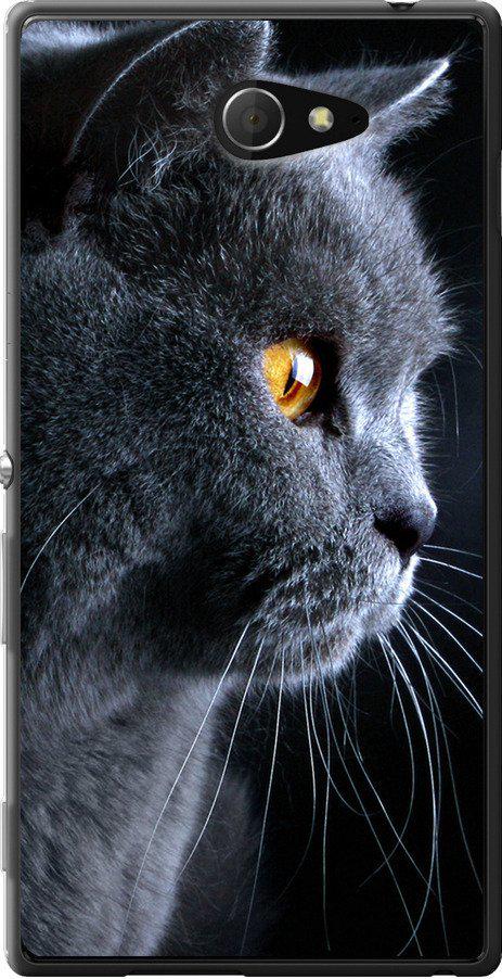 Чехол на Sony Xperia M2 D2305 Красивый кот (3038u-60-42517)