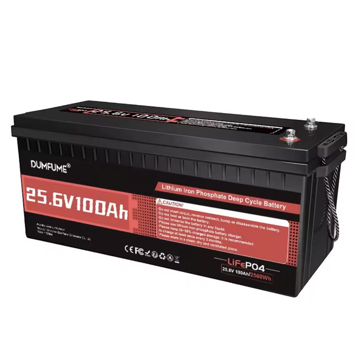 Аккумулятор Dumfume 24V 100Ah LiFePO4 2560W и 100A BMS до 15000 циклов (2922239159)