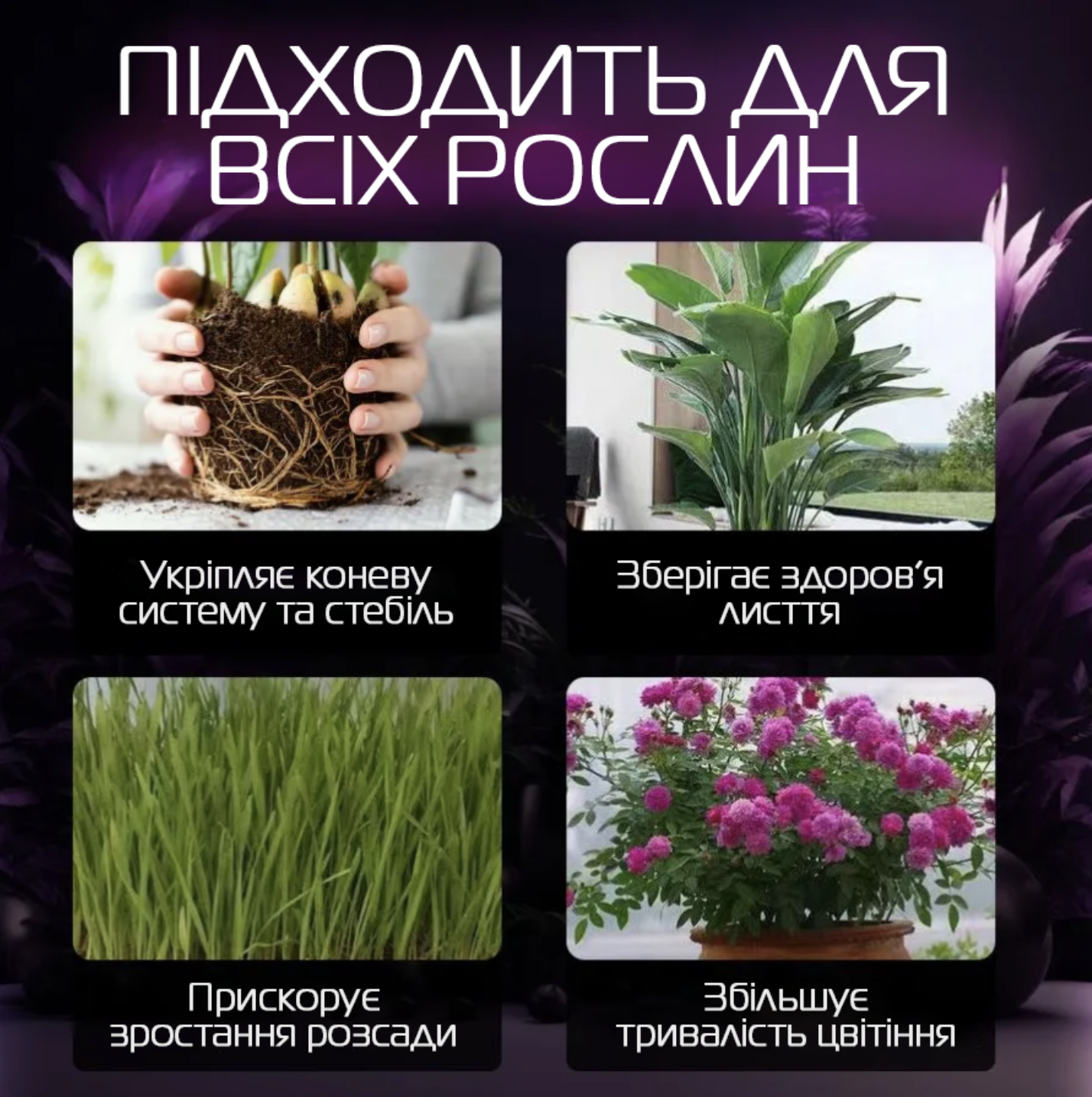 Фитолампа полного спектра 4 LED на прищепке с изменением цвета и таймером (Е500222) - фото 7 Фитолампа полного спектра 4 LED на прищепке с изменением цвета и таймером (Е500222) - фото 7