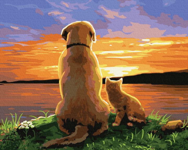 Картина по номерам Rainbow Art Пес с котенком на закате (GX34574-RA)