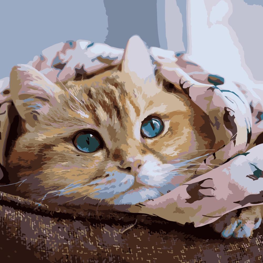 Картина за номерами Strateg Преміум Руде кошеня 40х40 см (SK040)