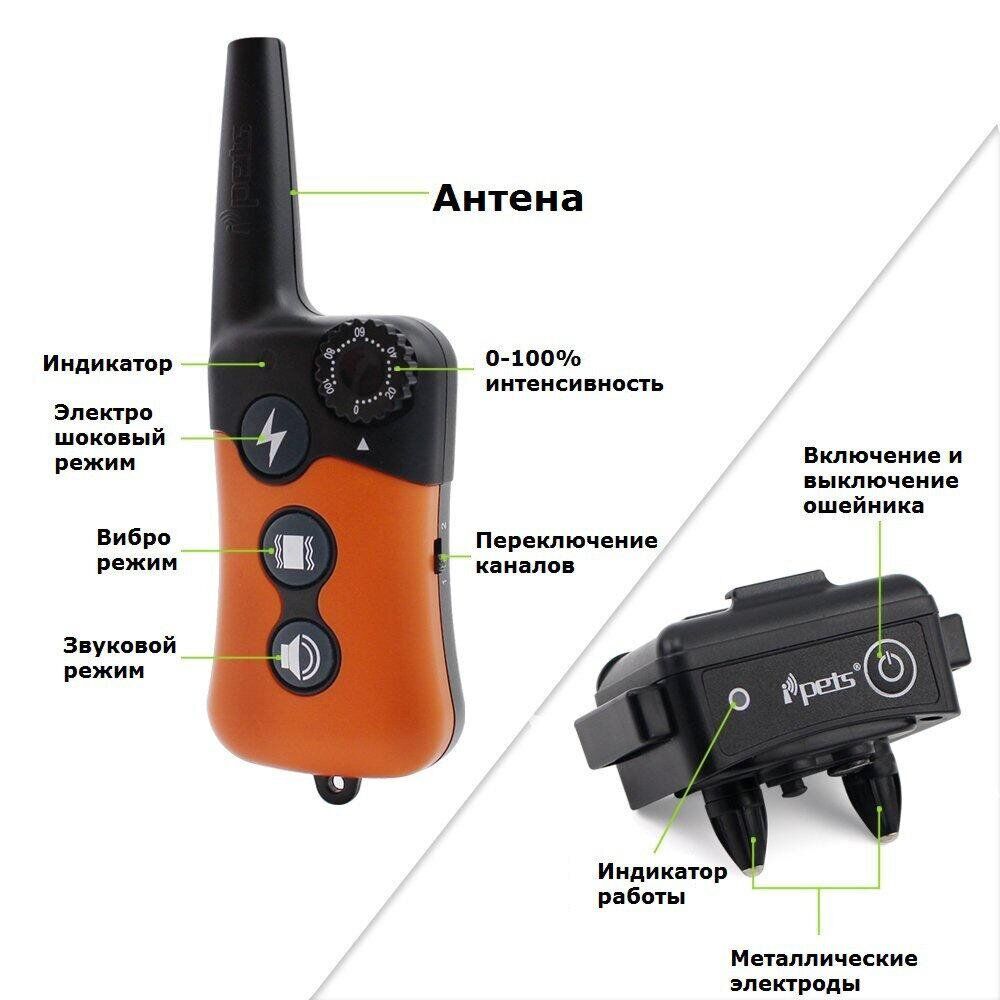 Электроошейник для дрессировки собак iPets PET619-1 Оранжевый - фото 9