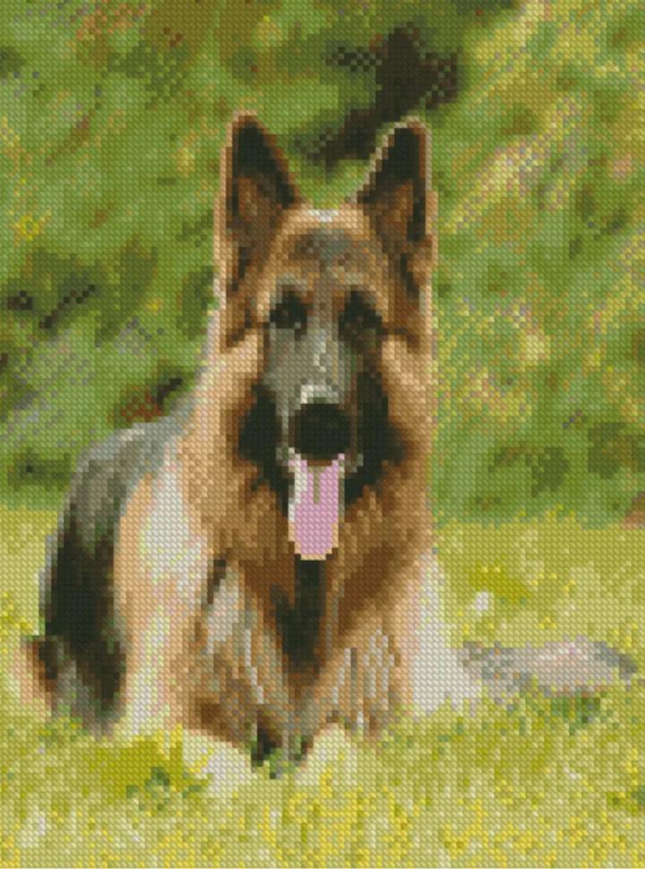 Алмазная мозаика Strateg Верный друг  30х40 см (HX214)