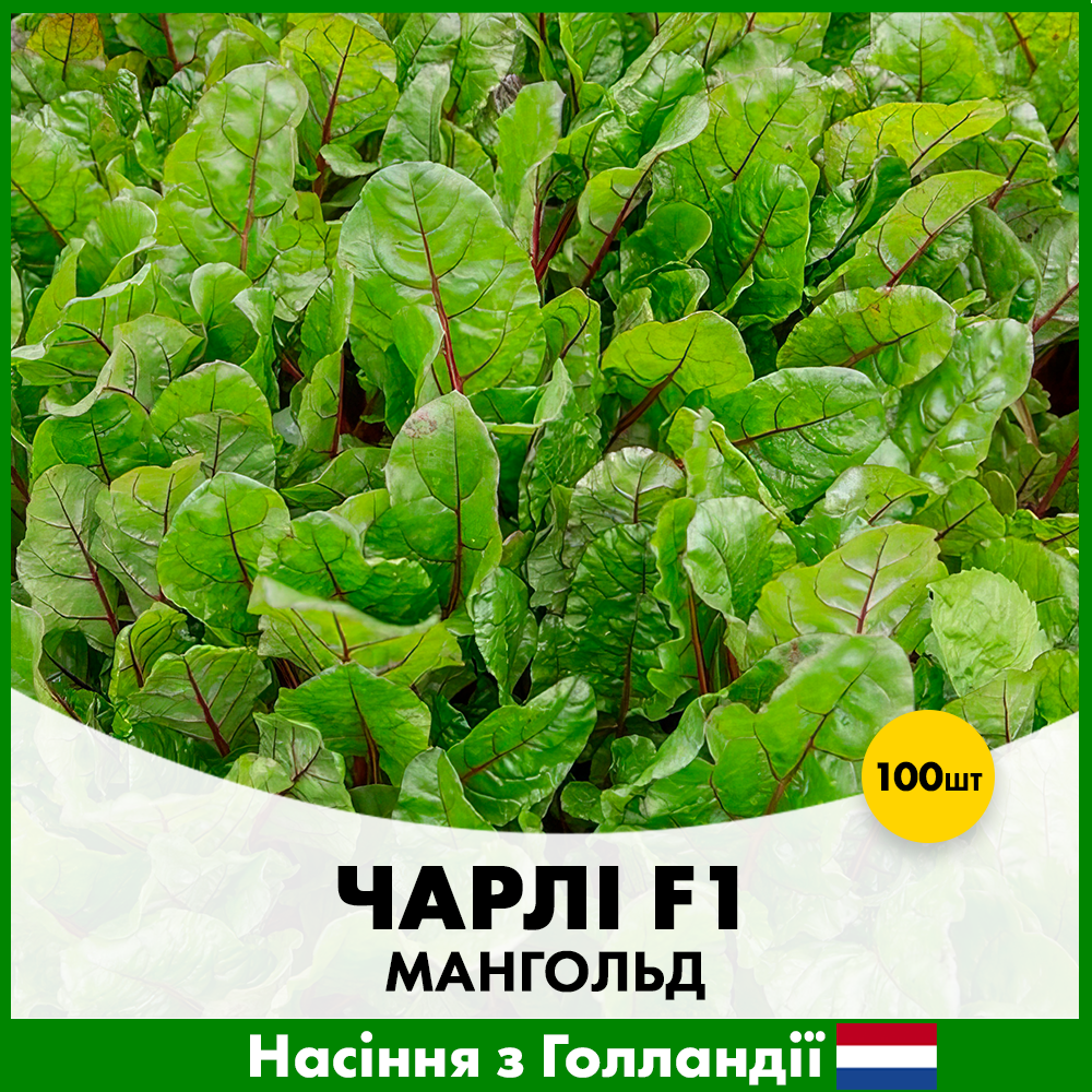 Семена мангольды Rijk Zwaan Чарли F1 100 шт. (R50190)
