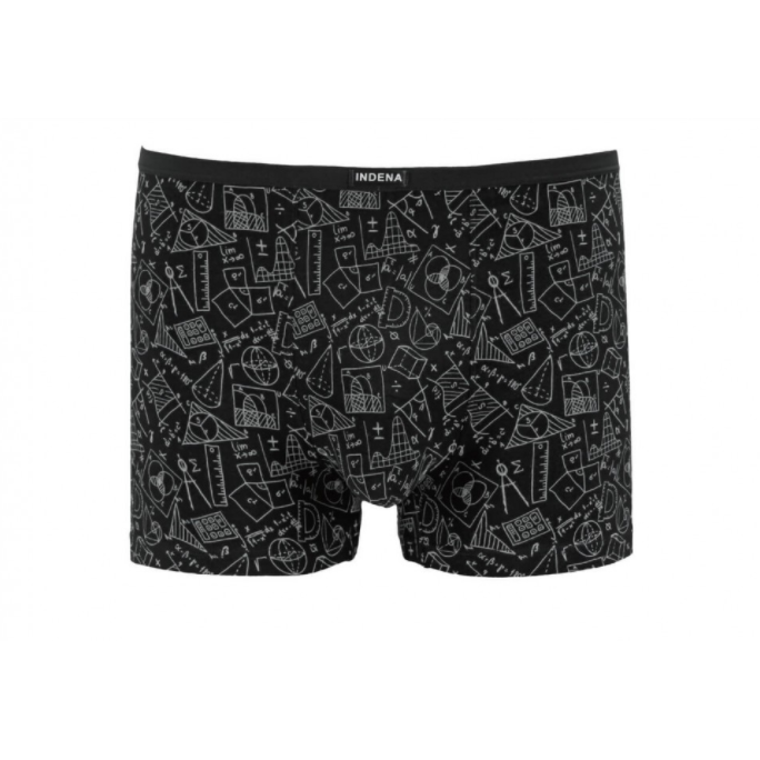 Чоловічі труси INDENA Бамбук 3ХL (205333) Чоловічі труси INDENA Бамбук 3ХL (205333)