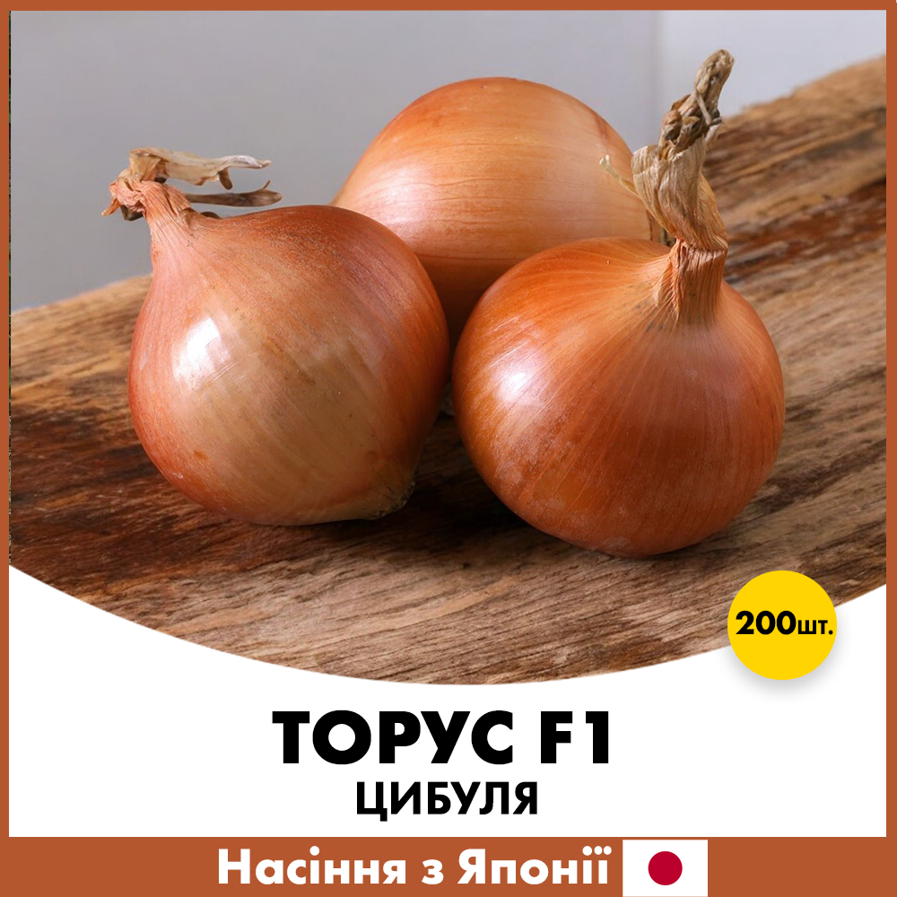 Насіння цибулі Sakata Торус F1 200 шт. (jkl21) Насіння цибулі Sakata Торус F1 200 шт. (jkl21)