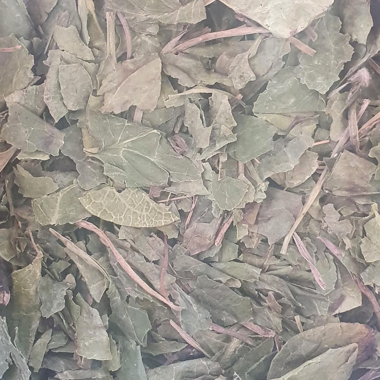 Лікарська сировина Грушанка листя сушене 1 кг (1808554731)