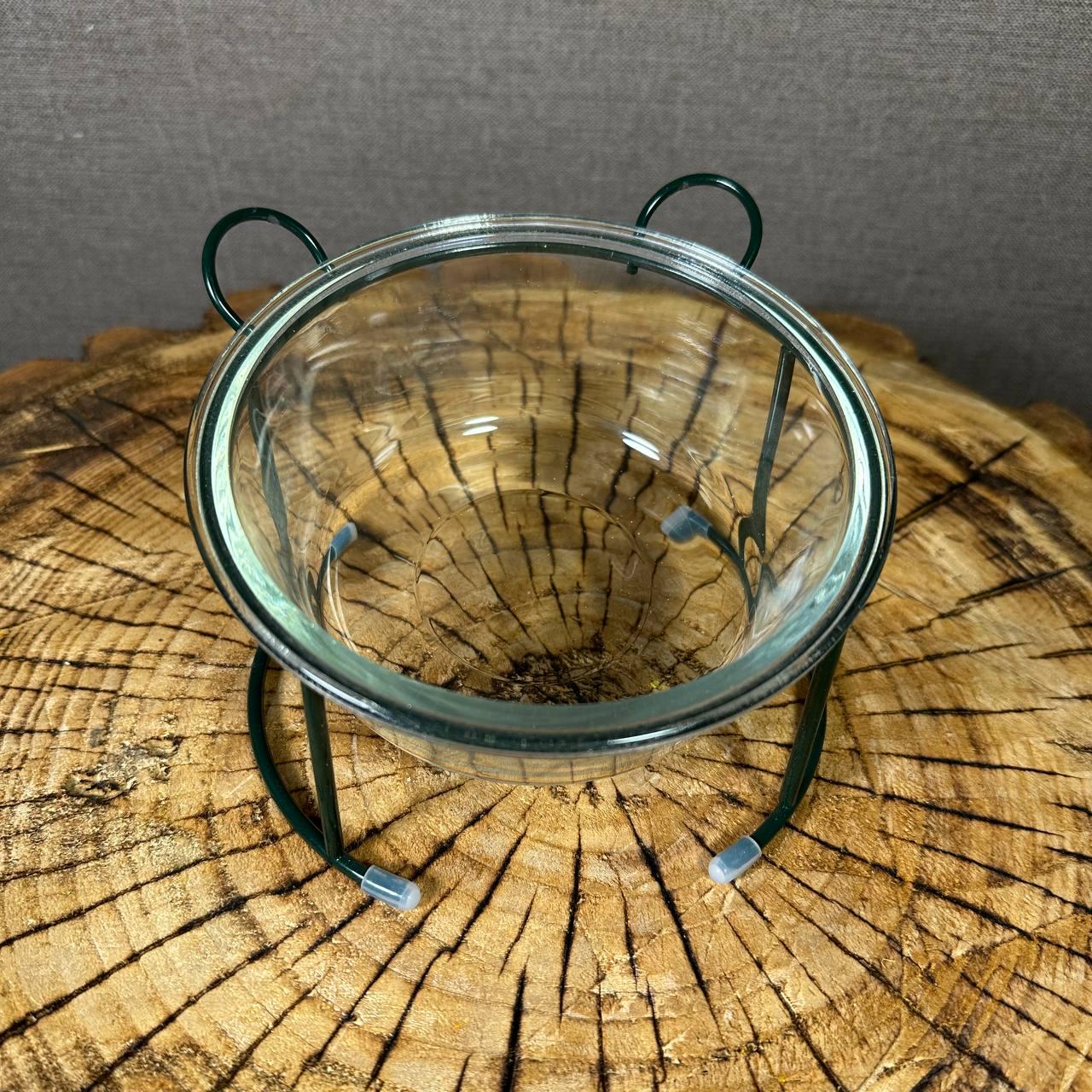 Миска на металлической подставке стеклянная для животных (14236356)