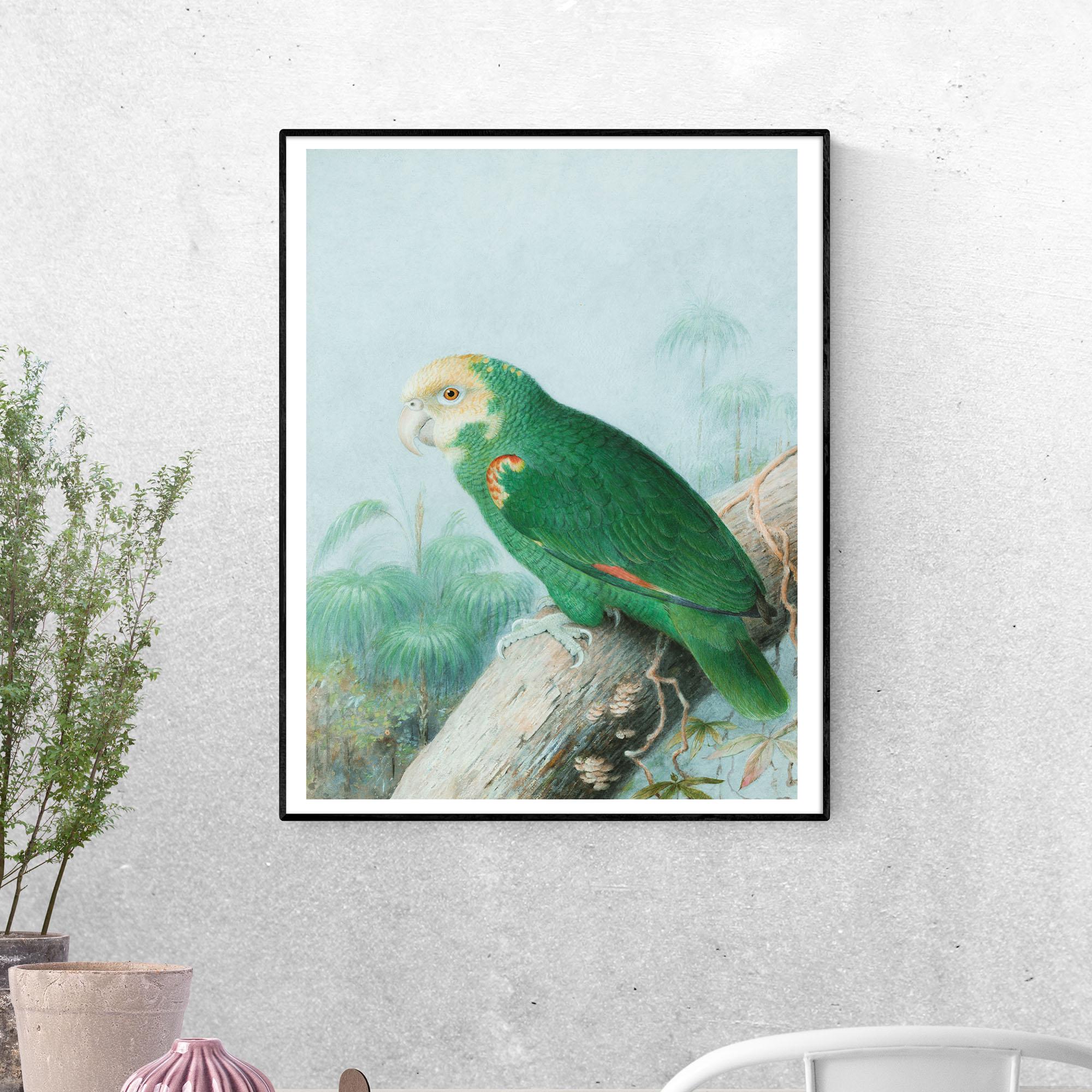 Постер Желтоплечий амазон формат А-4