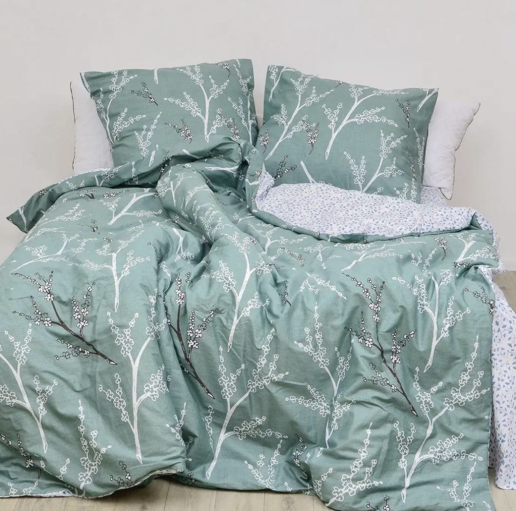 Комплект постельного белья Вилюта Twill 523 полуторный сатин (0646)