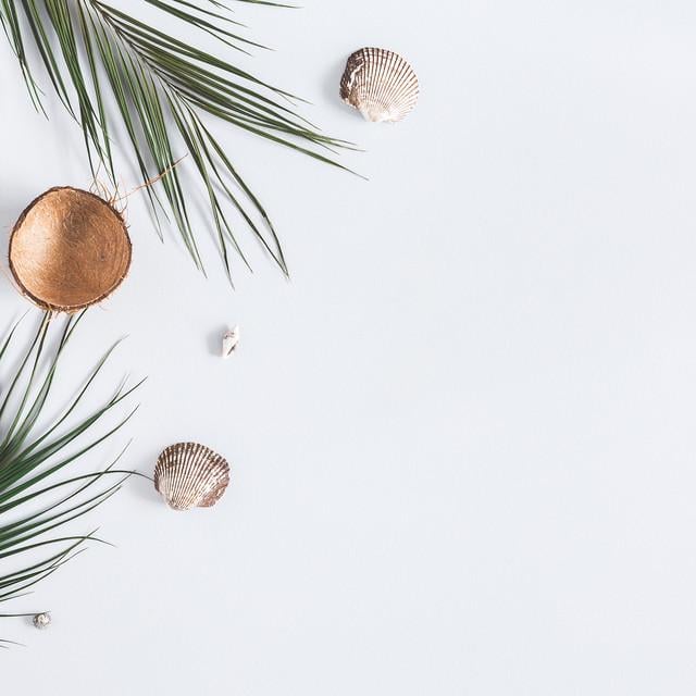 Фотофон вініловий 120x120 см Frontlit 450 г/м2 №55275