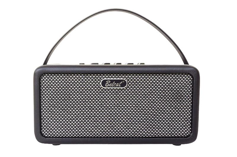 Комбоусилитель портативный гитарный Belcat BOUNCE-15 (25491700)