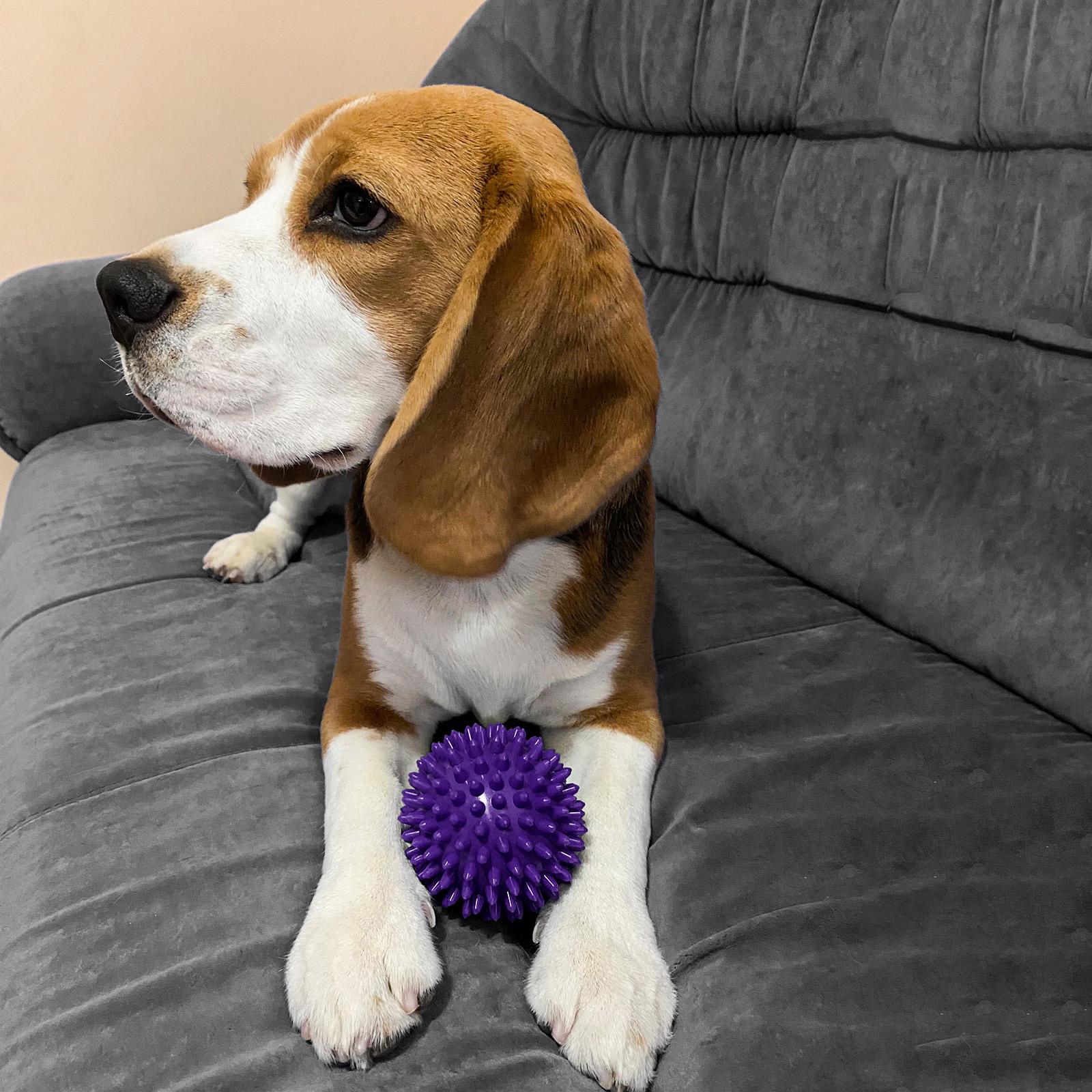 Іграшка для тварин OSPORT з шипами ПВХ 9 см Фіолетовий (R-00011) - фото 3