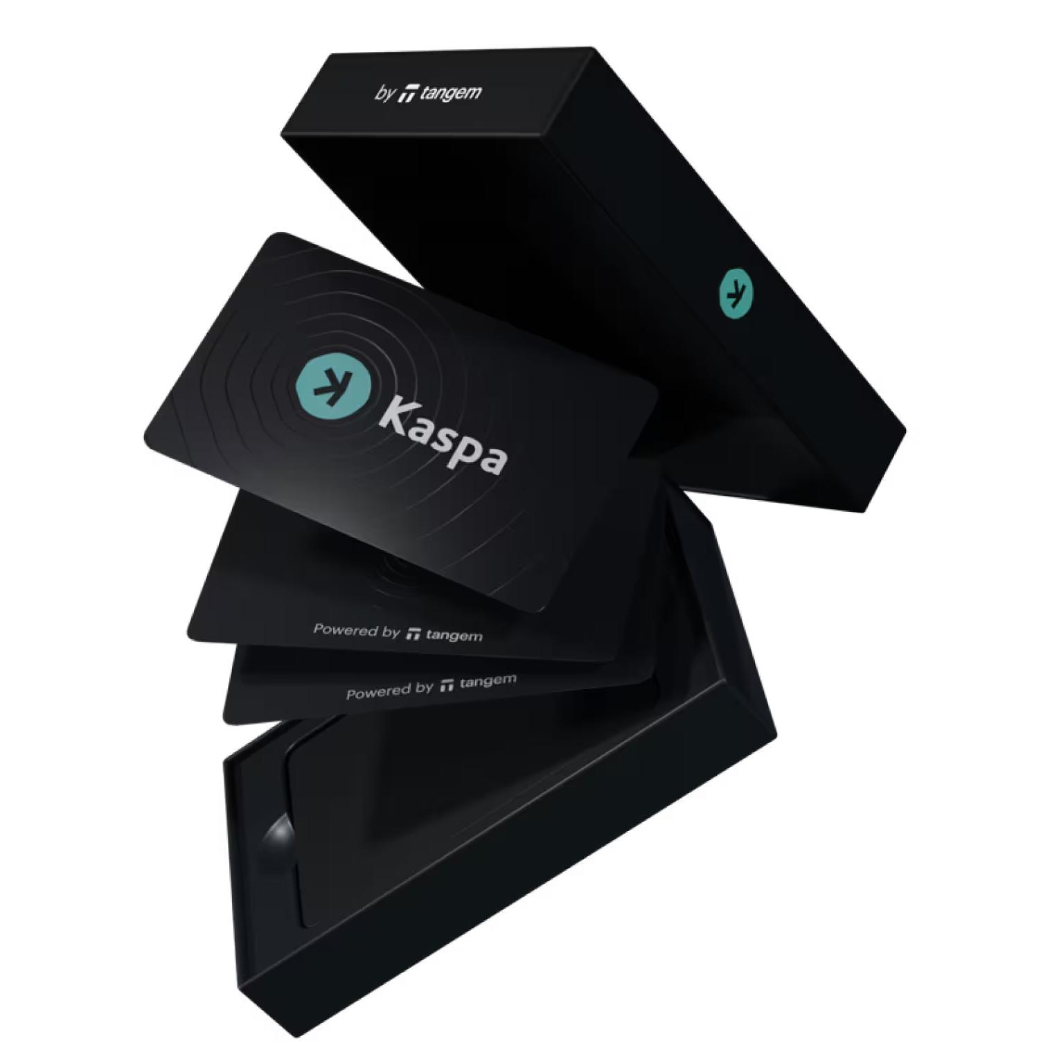 Криптокошелек Tangem Wallet 2.0 Kaspa 3 шт. (TG128X3-K) - фото 2