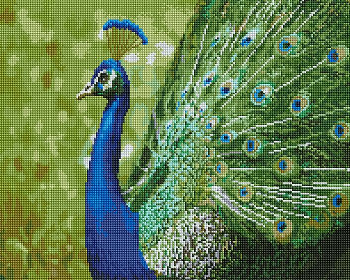 Алмазная вышивка Brushme Изумрудный павлин 40x50 см (DBS0015)