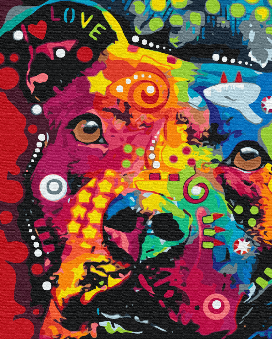 Картина по номерам Brushme Радужный друг 48x60 см (BS52262L)