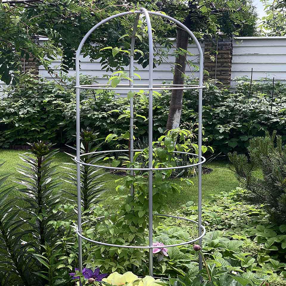 Опора для растений арочно-кольцевая на четыре кольца 1850х500х500 мм (АКО-D13/D8-1850*500/4) - фото 6
