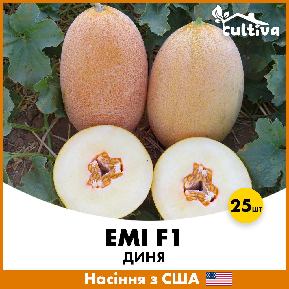 Семена дыни Innova Seeds Эми F1 25 шт. (jkl11-25)