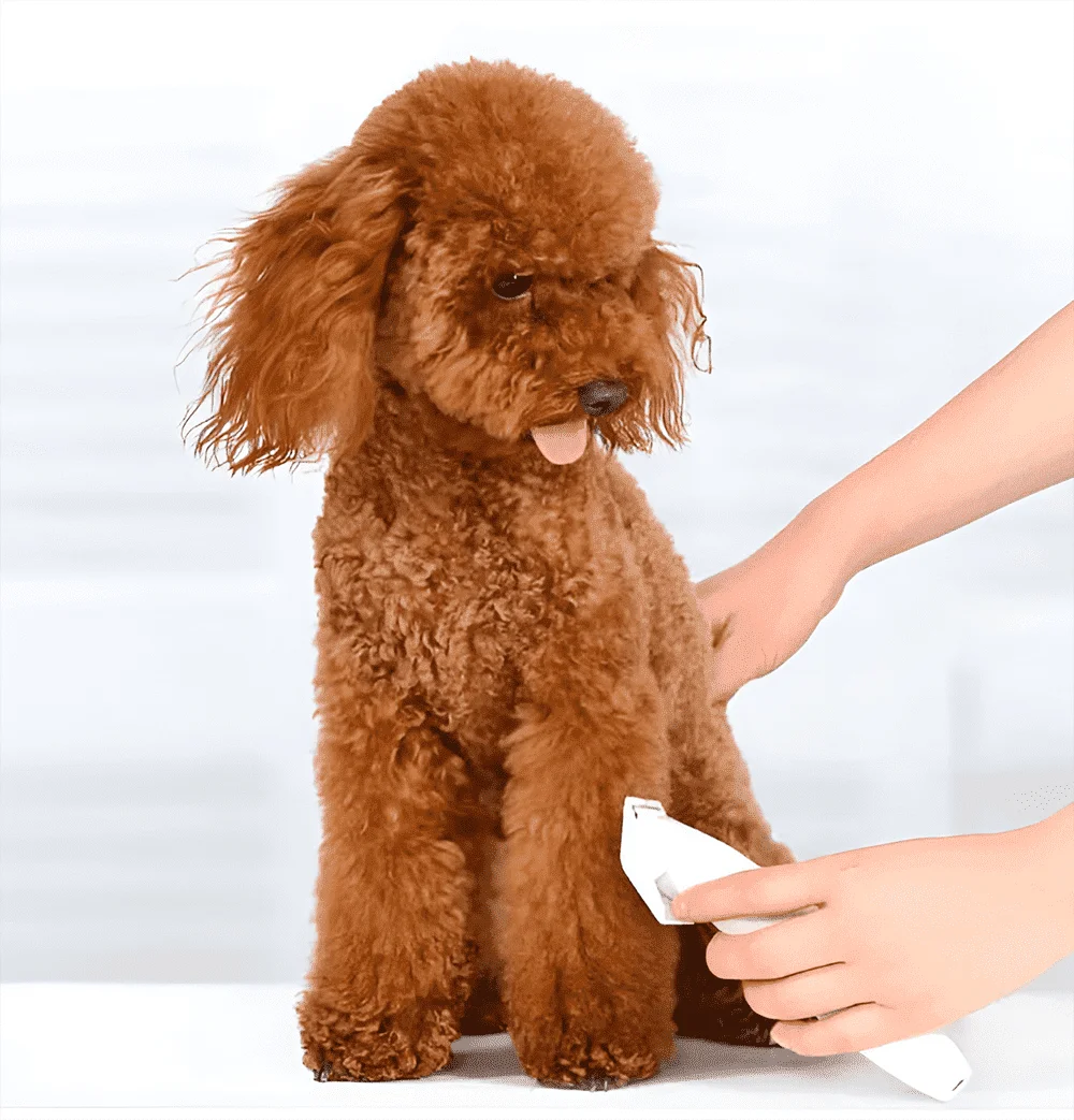 Машинка для стрижки животных аккумуляторная (29433680) - фото 6 Машинка для стрижки животных аккумуляторная (29433680) - фото 6