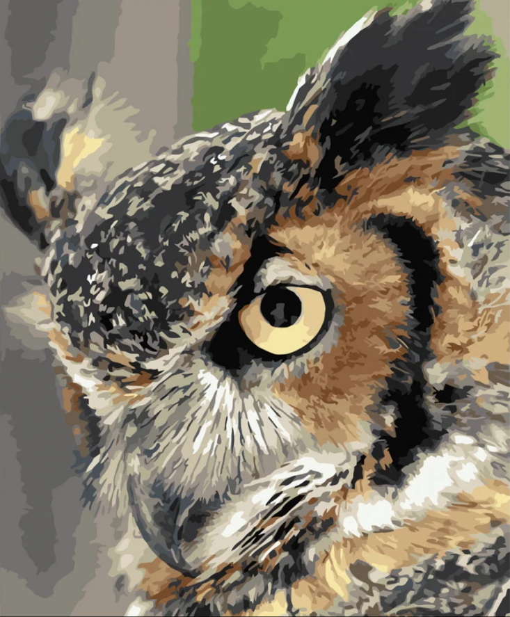 Картина по номерам Strateg Мудрая сова 40x50 см (VA-3655)