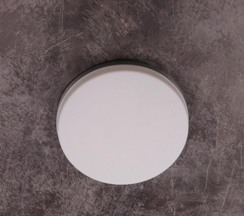 Светильник потолочный LED 36002/36W-ro (5-36W-ro)