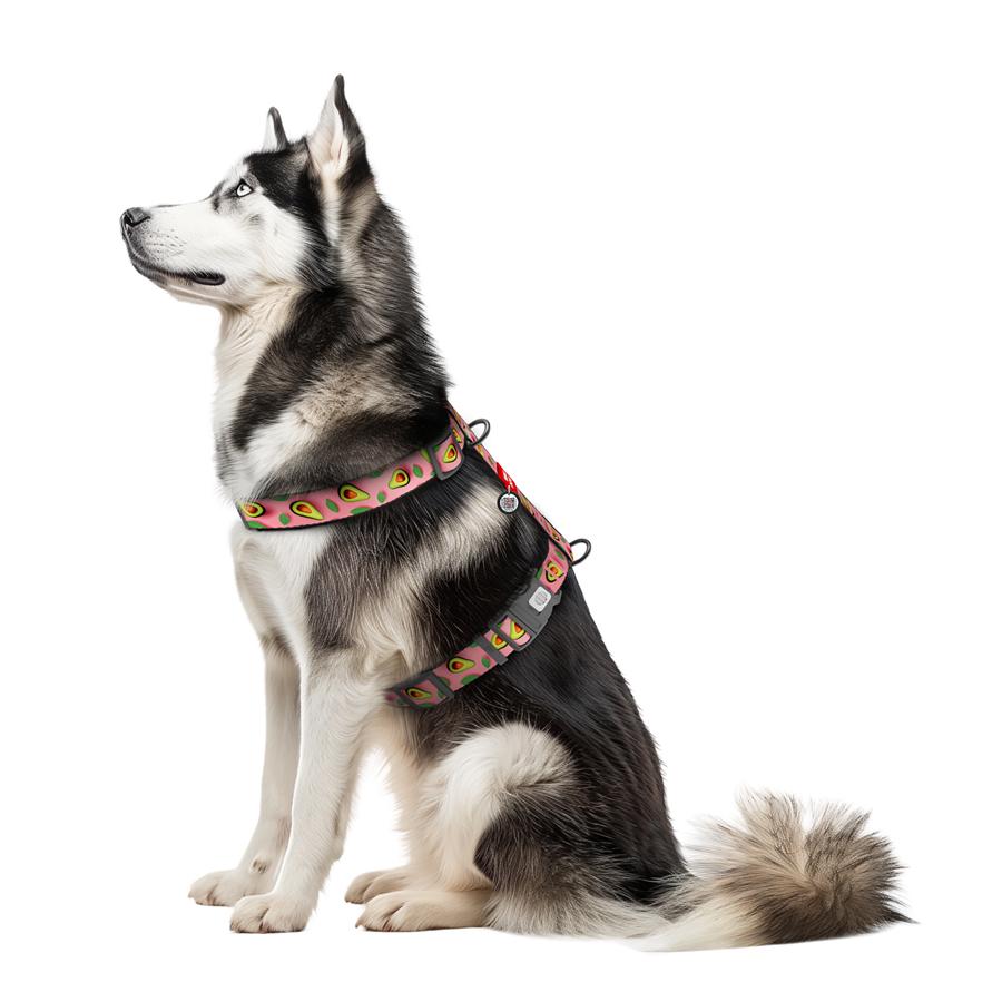 Шлейка для собак з QR-паспортом Waudog Nylon Авокадо анатомічна H-подібна з пластиковим фастексом XL 35 мм A 60-100 см/B 70-100 см Pink (347-4051) - фото 3