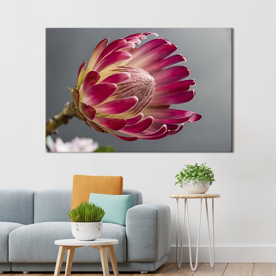Картина на холсте Цветок протея 51x34 см (971-1)