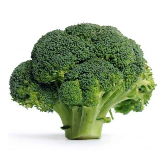 Насіння Капуста Брокколі Орантес F1 Rijk Zwaan ТД Гекса-Україна 01-08-037 1000 шт. (IR002697)