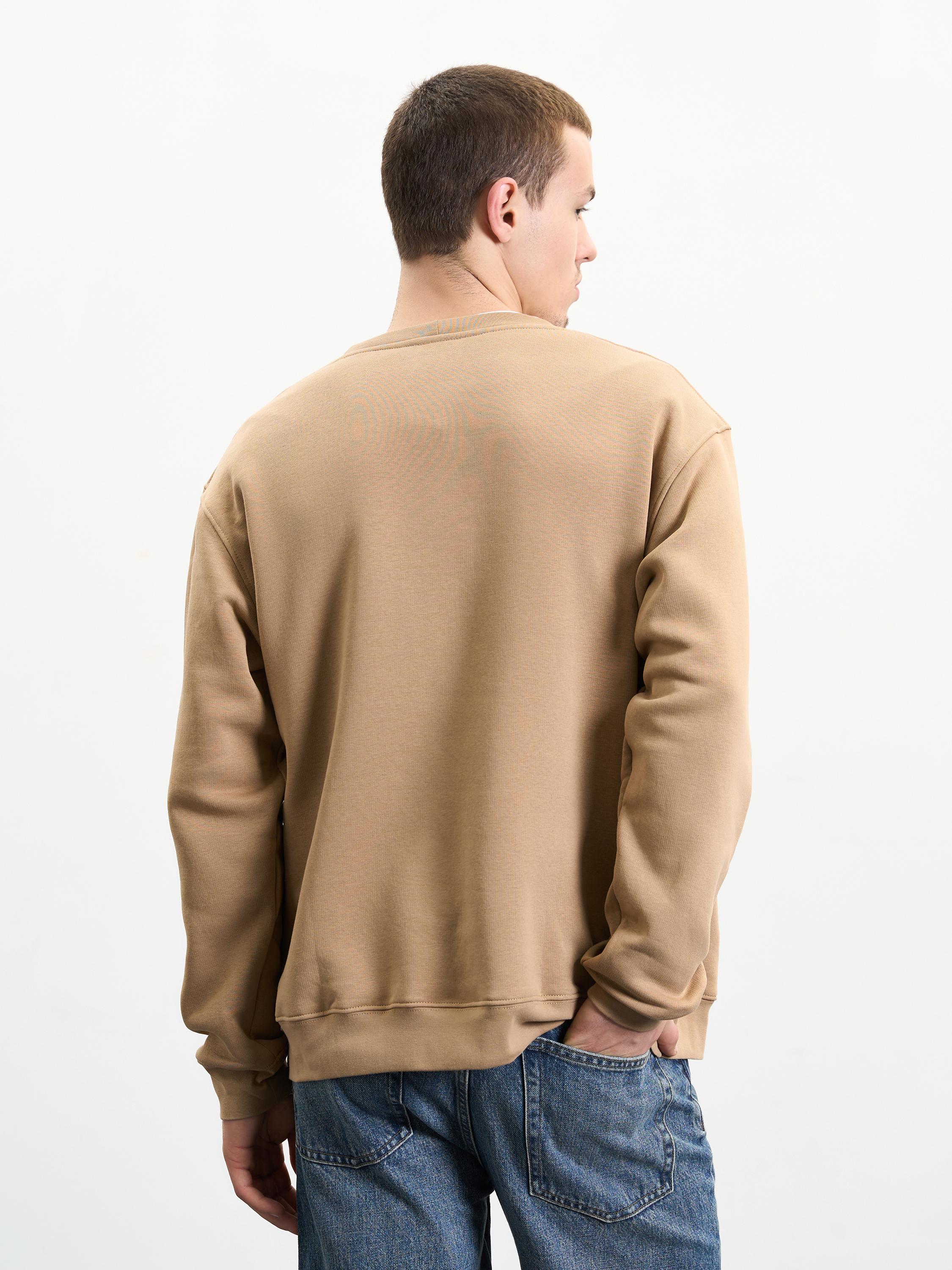 Свитшот мужской утепленный ROZA 240452 S Тофи (4824005710865) - фото 3 Свитшот мужской утепленный ROZA 240452 S Тофи (4824005710865) - фото 3