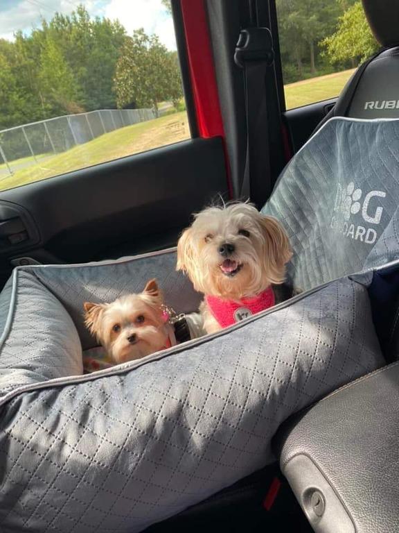 Автокрісло для собак Amore mio Cane Large до 16 кг 70х60х25 см Brown (CS-0037) - фото 4 Автокрісло для собак Amore mio Cane Large до 16 кг 70х60х25 см Brown (CS-0037) - фото 4