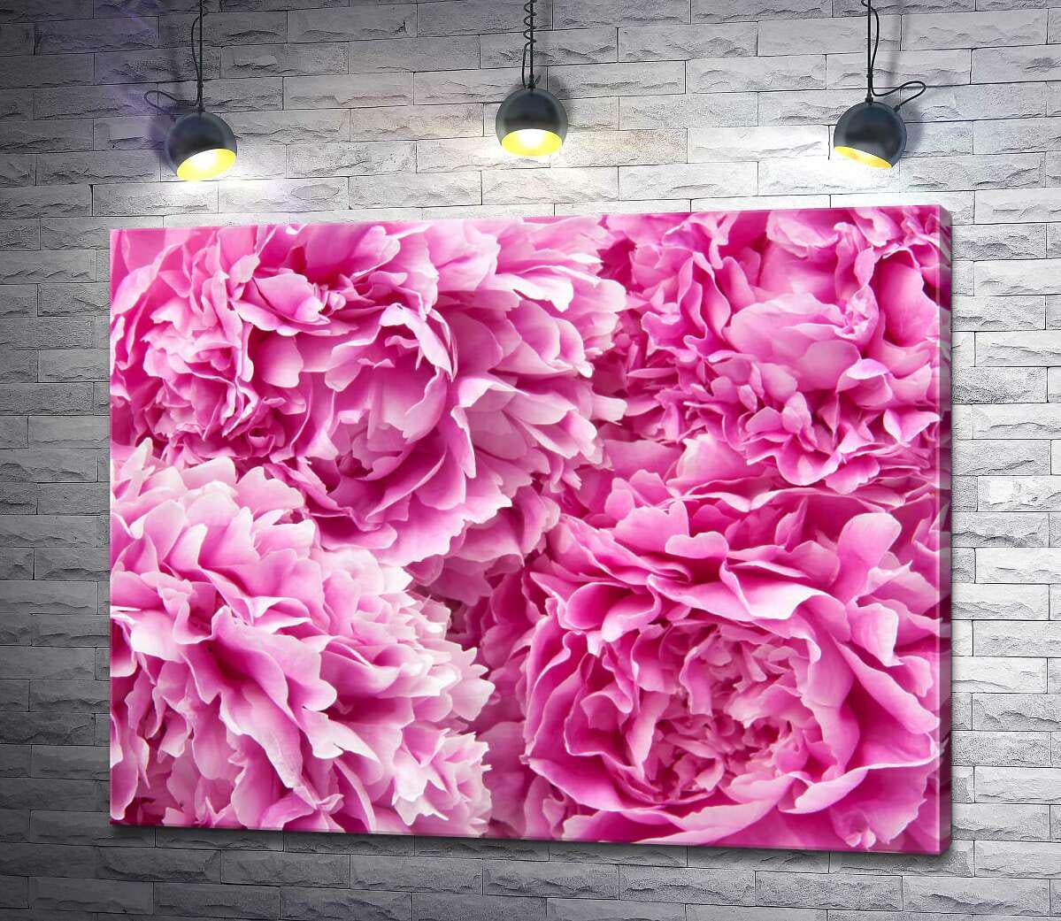 Картина ArtPoster Роскошные головки розовых пионов 100x79 см Модуль №1 (002803)