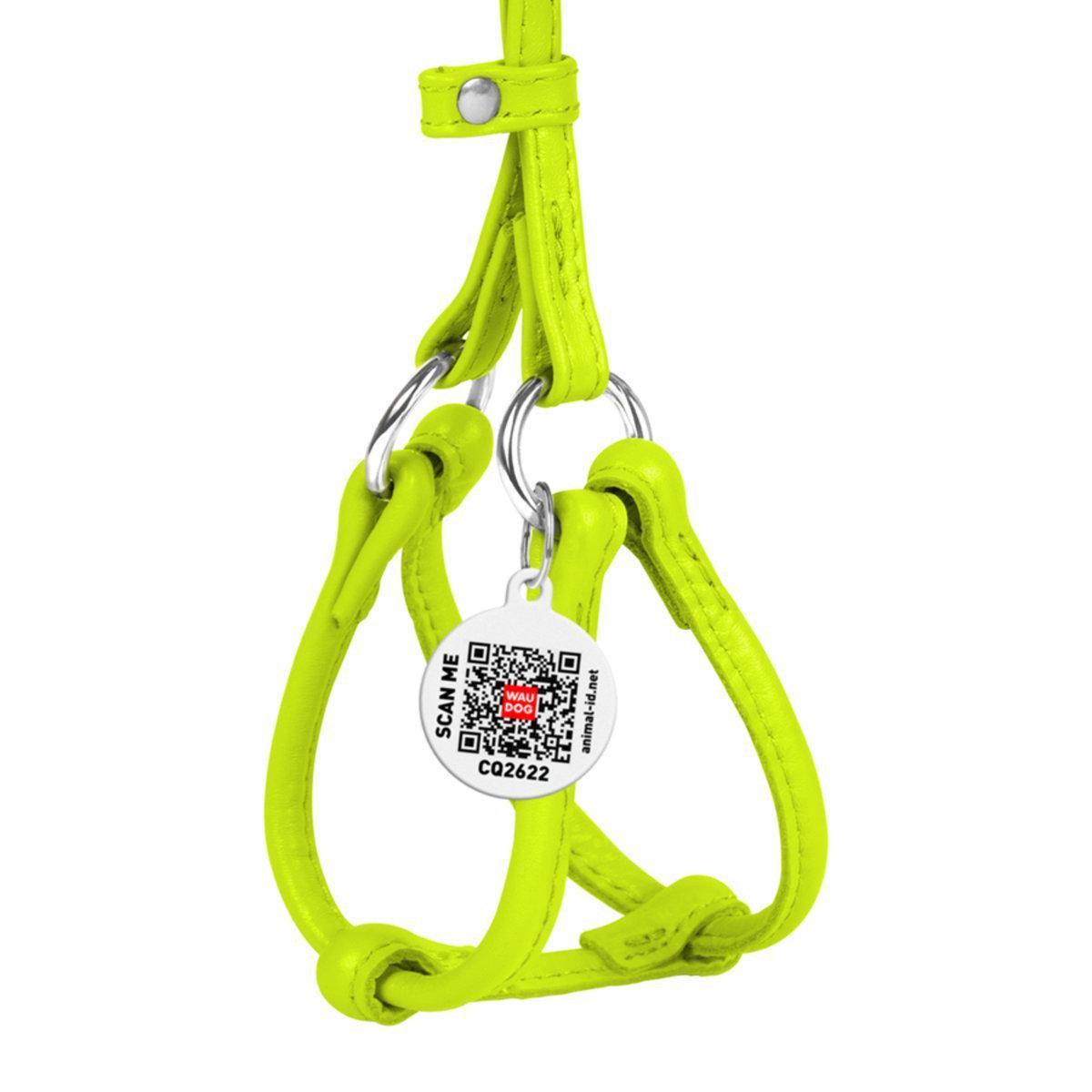 Шлея с поводком для собак Waudog Glamour с QR паспортом/круглая/кожаная 6 мм х 26-46 см х 30-50 см Салатовый (34015 Col) Шлея с поводком для собак Waudog Glamour с QR паспортом/круглая/кожаная 6 мм х 26-46 см х 30-50 см Салатовый (34015 Col)