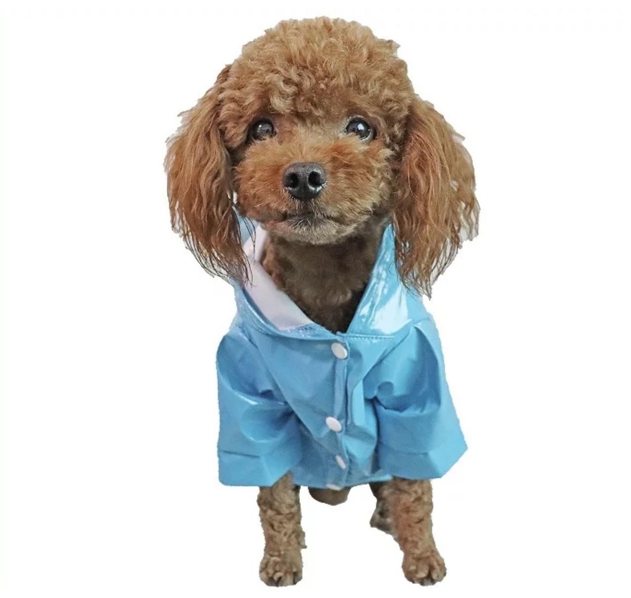 Дощовик для собак із капюшоном Pet Fashion Juicy S Blue - фото 2